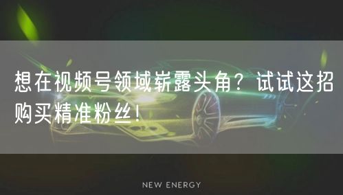 想在视频号领域崭露头角？试试这招购买精准粉丝！
