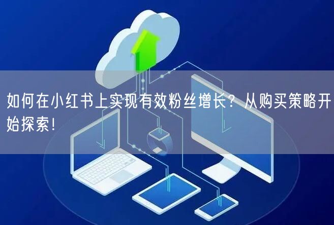 如何在小红书上实现有效粉丝增长？从购买策略开始探索！
