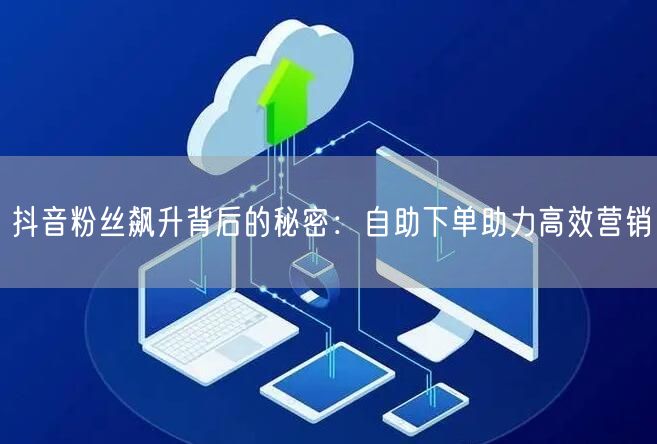 抖音粉丝飙升背后的秘密：自助下单助力高效营销