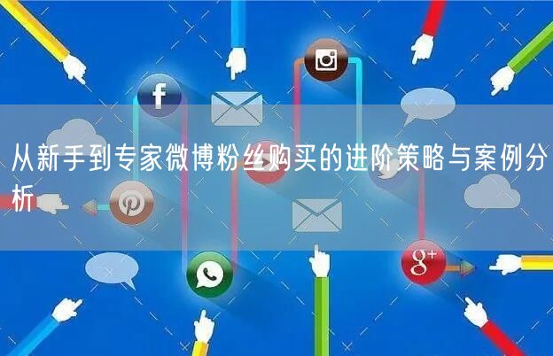 从新手到专家微博粉丝购买的进阶策略与案例分析