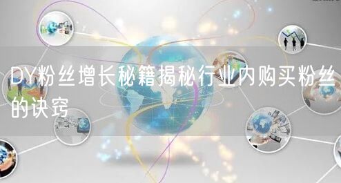 DY粉丝增长秘籍揭秘行业内购买粉丝的诀窍