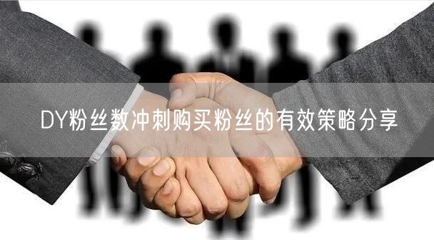 DY粉丝数冲刺购买粉丝的有效策略分享