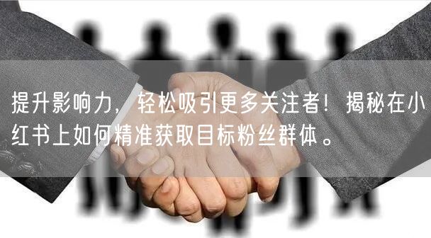 提升影响力，轻松吸引更多关注者！揭秘在小红书上如何精准获取目标粉丝群体。