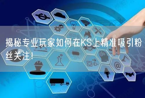 揭秘专业玩家如何在KS上精准吸引粉丝关注！