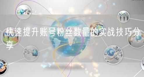 快速提升账号粉丝数量的实战技巧分享