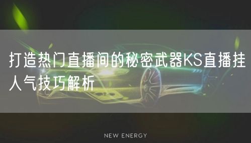 打造热门直播间的秘密武器KS直播挂人气技巧解析