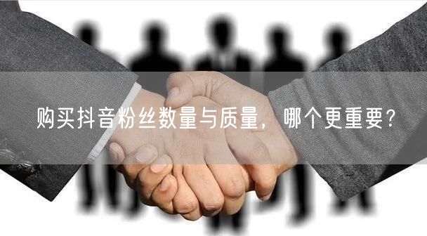 购买抖音粉丝数量与质量，哪个更重要？