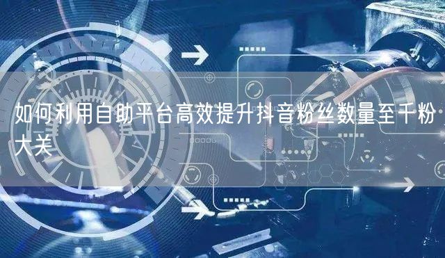 如何利用自助平台高效提升抖音粉丝数量至千粉大关