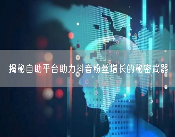 揭秘自助平台助力抖音粉丝增长的秘密武器