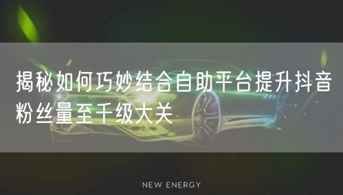 揭秘如何巧妙结合自助平台提升抖音粉丝量至千级大关